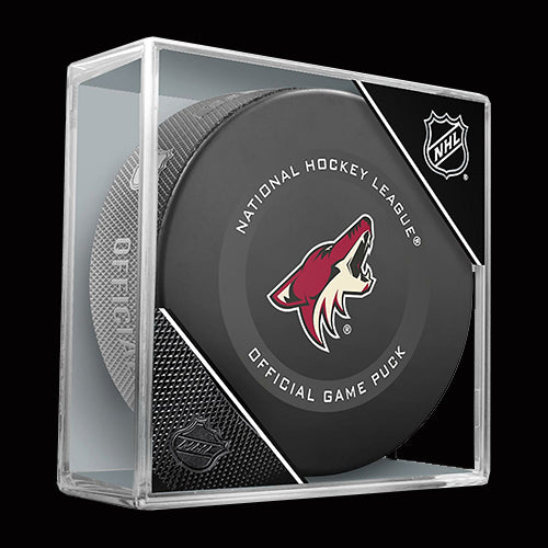 Arizona Coyotes Game Model Puck